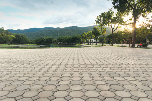 Best Best Driveway Pavers  in Cochran, GA